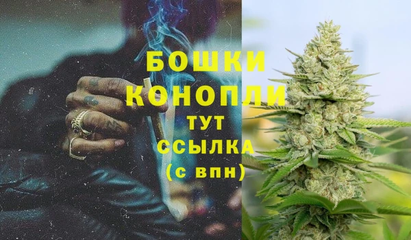 бошки Осинники