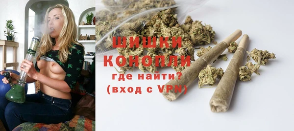 бошки Осинники